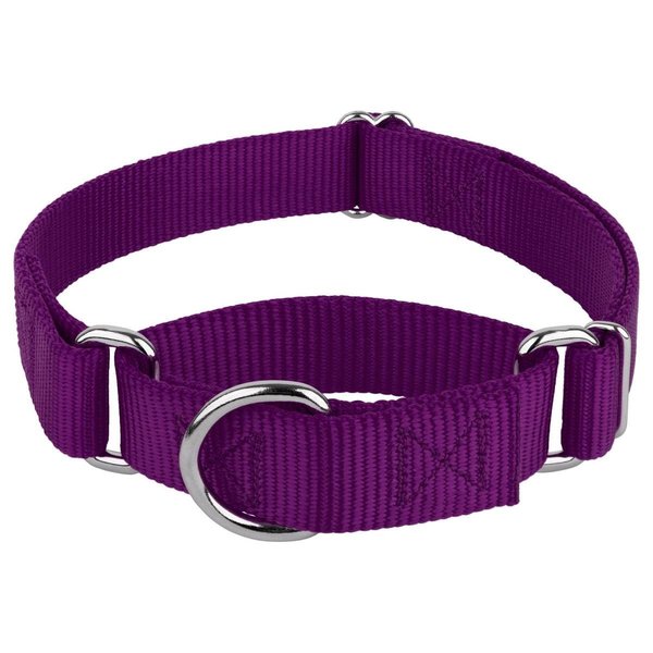Mirage Pet Products Plain Nylon Martingale Dog CollarMedium Purple 124-1M PRMD